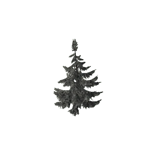 Conifer 05_afsTREE